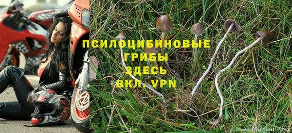 МДПВ Белокуриха