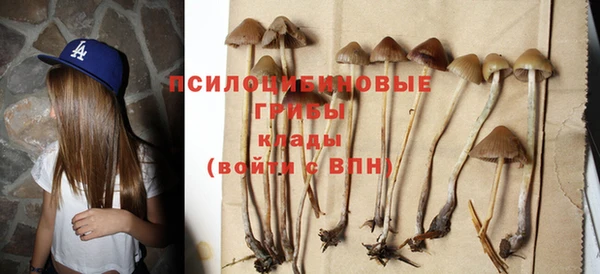 альфа пвп Беломорск