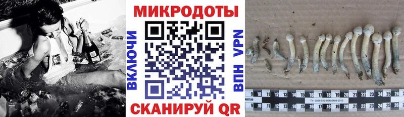 Галлюциногенные грибы ЛСД  мега как войти  Гремячинск  закладки 